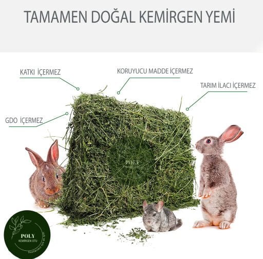 Kemirgen Ürünleri
