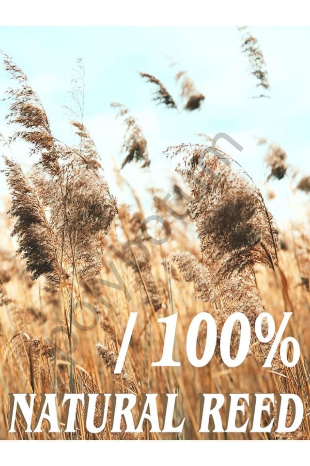 100x100 Dekoratif Doğal Bambu Kamış Hasır Bahçe Çiti- Gölgelik Hasır -balkon -tavan Dekorasyon 100x100 Tek Ebat 5 x 1