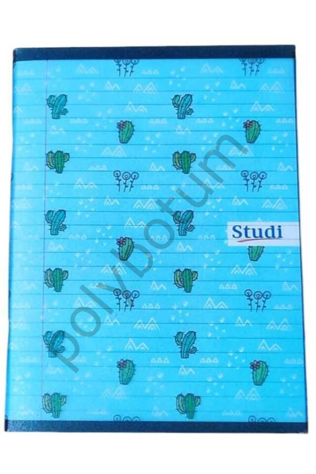 Pp Kapak A5 80 Yaprak Baskılı Çizgili Defter 2 Adet ÇİZGİLİ Tek Ebat