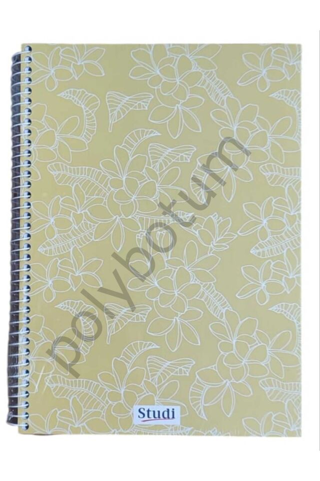 120 Yaprak Set Kapak A4 Kareli Defter 2 Adet renkli Tek Ebat