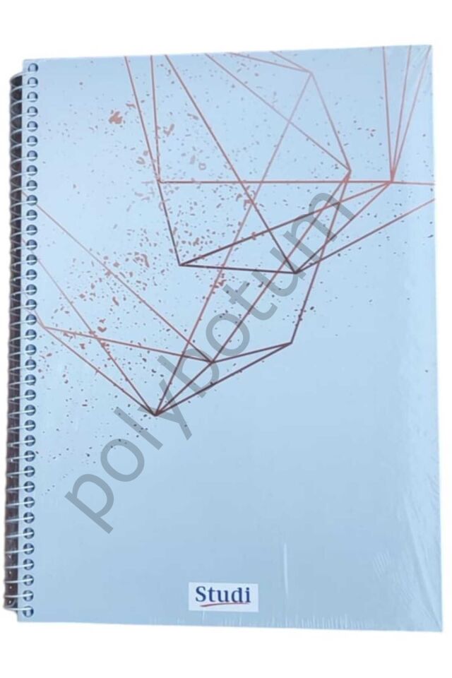 120 Yaprak A4  Çizgili Defter  2 Adet renkli 1 Tek Ebat