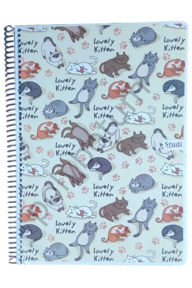 160 Yaprak A4  Kareli Defter 2 Adet renkli Tek Ebat
