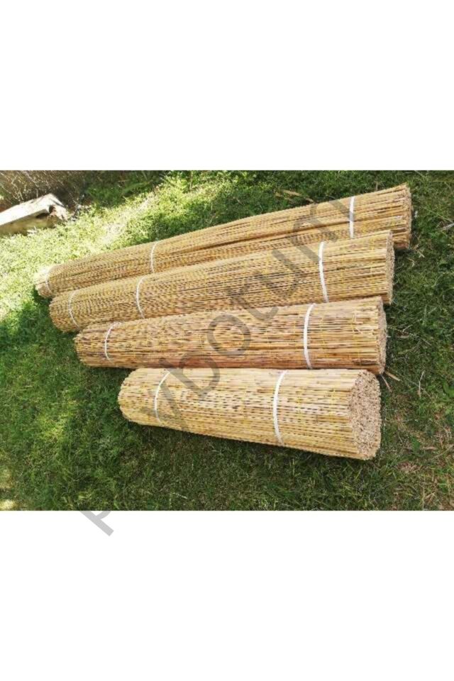 Sarı Kamış Hasır Bambu Çit 1m X 5m Plastik 100 x 500 Sarı Tek Ebat 100 x 500
