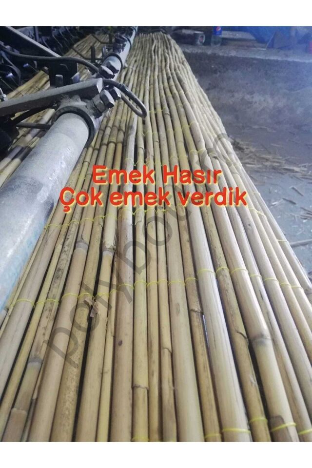 Kamış Hasır Çit Bambu Doğal 1m X 5m (uv)misina Ipli! Makine Örgüsü Duvar Dökoru sarı  50 x 110
