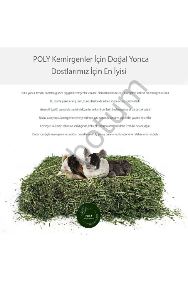 POLY Kemirgen DOĞAL KURU YONCA KEMİRGEN OTU-TAVŞAN-GİNEPİG-HAMSTER 2500 Gr  Tek Ebat