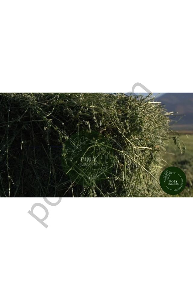 POLY Kemirgen DOĞAL KURU YONCA KEMİRGEN OTU-TAVŞAN-GİNEPİG-HAMSTER 2500 Gr  Tek Ebat
