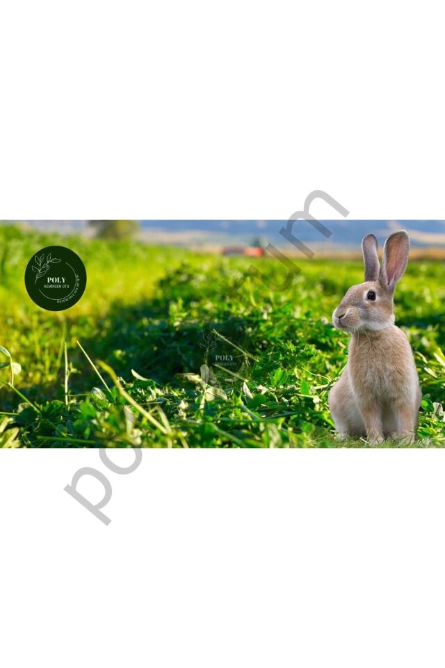 POLY Kemirgen DOĞAL KURU YONCA KEMİRGEN OTU-TAVŞAN-GİNEPİG-HAMSTER 2500 Gr  Tek Ebat