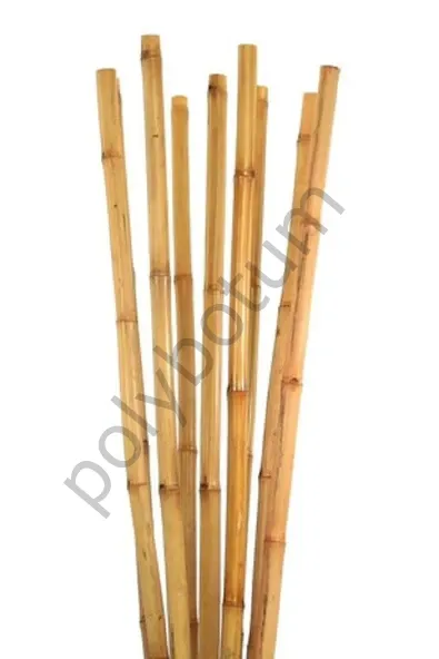 Bambu Bitki Destek Çubuğu 100 cm 10'lu | Saksı, Bahçe, Sarmaşık ve Çiçekler İçin Doğal Destek