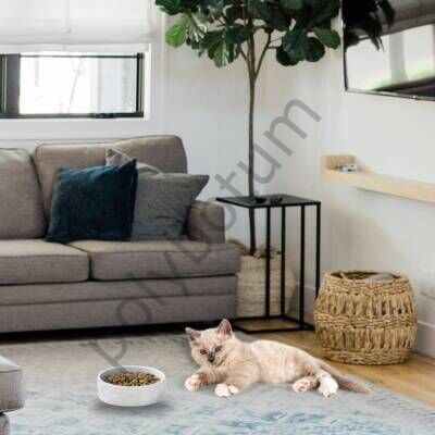 Theebby Porselen Mama ve Su Kabı – 22 cm Beyaz | Sağlıklı ve Şık Kedi Köpek Kabı