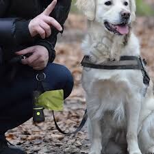 Happy Toozey HT03 Işıklı Pet Kaka Torbası