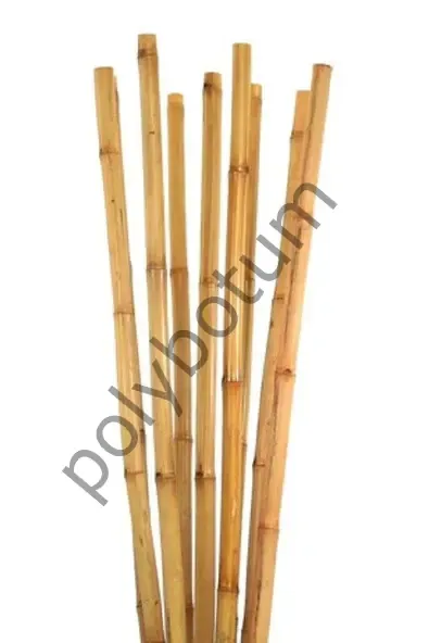 Bambu Bitki Destek Çubuğu 200 cm 10'lu | Saksı, Bahçe, Sarmaşık ve Çiçekler İçin Doğal Destek(Kopya)